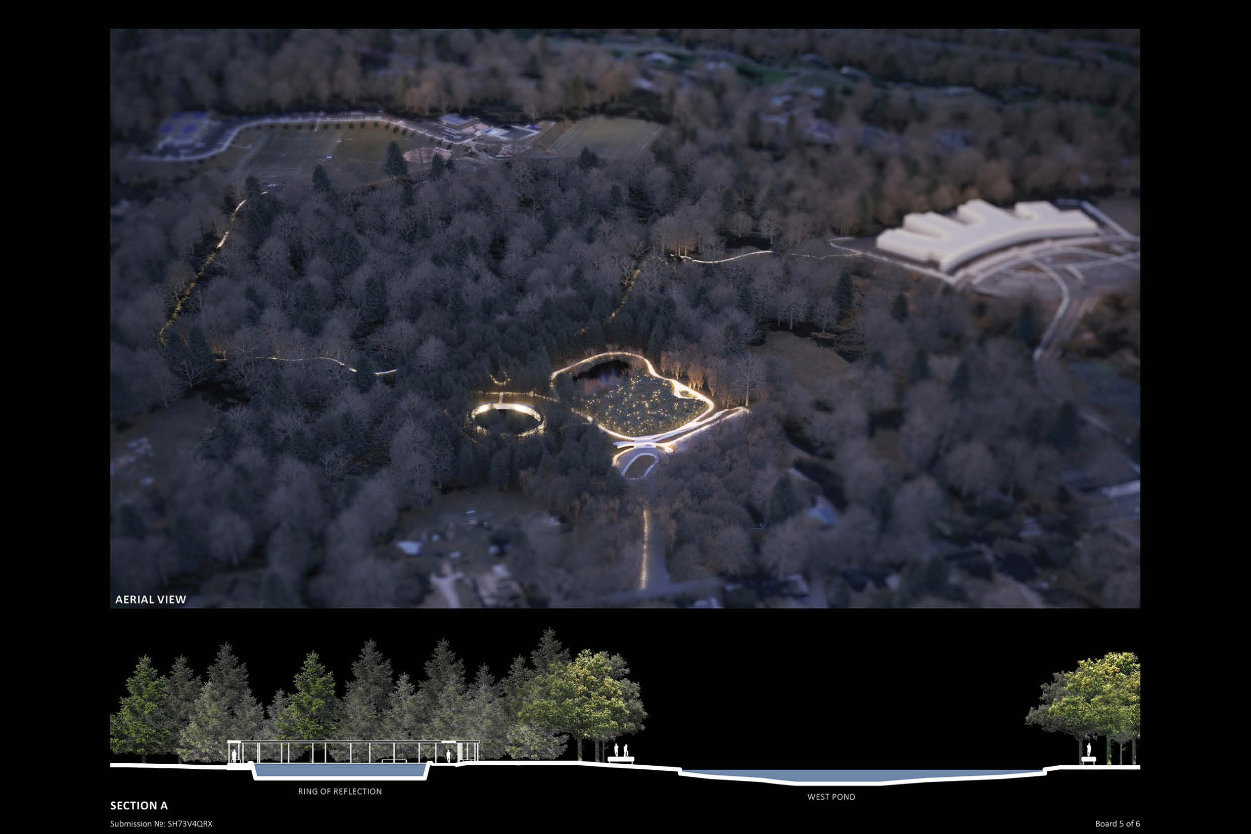 Ring of Reflection - image 8 of 11